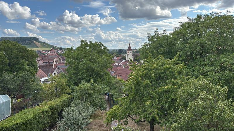 ☀️ SONNIG. GEMÜTLICH. BESONDERS. – 3-ZIMMER-WOHNUNG MIT SÜDBALKON IN GROSSBOTTWAR